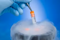 Bạn trai âm thầm trữ đông 'con giống', tôi chết điếng khi biết nguyên nhân