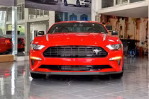 Cận cảnh Ford Mustang High Performance hơn 3 tỷ về Việt Nam