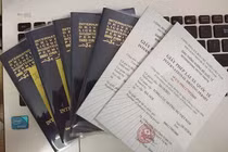 Dừng cấp bằng lái xe quốc tế online đến tháng 6/2025