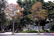 Dự báo thời tiết ngày 11/5: Ngày nắng nóng, chiều tối có mưa to