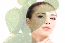 Bỏ túi mẹo làm đẹp hay ho từ cây xương rồng 