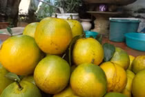 Chiêu chuẩn phân biệt cam Cao Phong đang sốt xình xịch