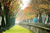 Điểm check-in đẹp nhất Hà Nội khi vào thu 