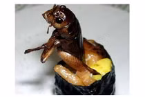 Những món sushi kì dị và khó nuốt nhất Nhật Bản 