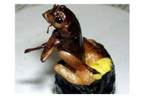 Những món sushi kì dị và khó nuốt nhất Nhật Bản 