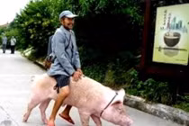 Cưỡi “xế khủng” có máu