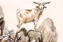 4 con giáp tiền vào như nước, cực may mắn từ giữa tháng 7