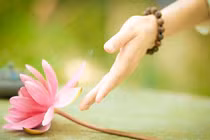 Phật dạy: Chỉ cần làm điều này thường xuyên sẽ hết gặp xui xẻo, được hạnh phúc