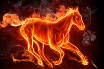 4 con giáp 9X này sau 40 tuổi giàu có cực điểm