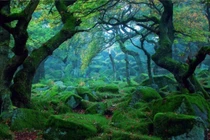 4 "kỳ quan" tưởng như thần thoại nhưng có thật 100%