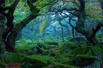 4 "kỳ quan" tưởng như thần thoại nhưng có thật 100%