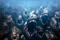 Sốc trước loài "thủy quái ma cà rồng" ở con sông dài nhất thế giới