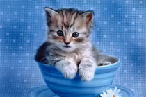 3 con giáp sự nghiệp phất lên như diều, đại cát đại lợi từ 16/7