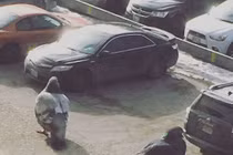 Những hình ảnh đánh lừa thị giác, nhìn thế mà không phải thế