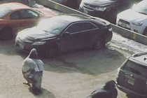 Những hình ảnh đánh lừa thị giác, nhìn thế mà không phải thế