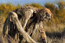 Những bức tượng "kinh dị" khiến du khách hết hồn bỏ chạy