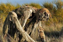 Những bức tượng "kinh dị" khiến du khách hết hồn bỏ chạy