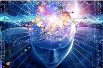 Thường để "linh tính" dẫn đường, liệu bạn có phải là người có giác quan thứ 6?