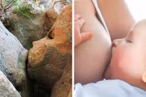 Những hình ảnh trùng hợp trong tự nhiên khiến bạn mỉm cười