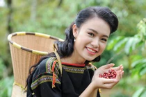 Tên gọi Buôn Ma Thuột có ý nghĩa gì?