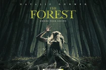 Ghê rợn những "khu rừng tự sát" ở Nhật Bản