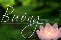 Phật dạy: Trên 50 tuổi, không buông bỏ được 3 việc là thất bại