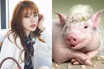 3 con giáp được Thần Tài nâng đỡ, bước vào vận may, phát tài từ 35 tuổi