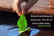 Phật dạy: Muốn hạnh phúc, hãy buông bỏ 2 điều