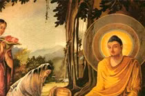 Phật dạy: Ai làm được 3 việc này, cả đời được hưởng phúc ấm