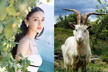 3 con giáp tình tài cực viên mãn, song hỷ lâm môn kể từ 7/7