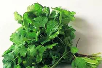 Mùi tây, hương nhu chữa hôi miệng