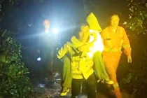 Lâm Đồng: Giải cứu 5 sinh viên lạc trên núi Lang Biang