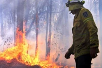 Cháy lớn làm 3 người chết, Australia ban bố tình trạng khẩn cấp