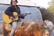 Cưỡi bò, hát "Baby" theo phong cách Justin Bieber cực hài