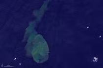 Cá mập đột biến sống trong miệng núi lửa sắp phun trào 