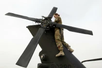 Kinh dị nữ quân nhân Mỹ uống máu rắn hổ mang