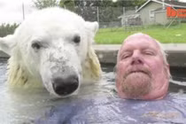 Người đàn ông duy nhất thế giới tắm với gấu Bắc Cực