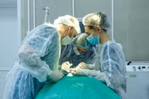 Phát hiện ký sinh trùng dài 12cm trên mặt sau khi bị muỗi đốt