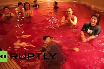 Khám phá dịch vụ tắm rượu vang xa xỉ ở Nhật Bản