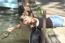 Xem cô nàng tay không bắt hàng trăm con rắn