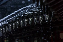 Đẹp nao lòng ngày mưa tại "Nam Đô đệ nhất viên" ở Trung Quốc