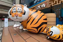 Cười nắc nẻ với dàn tượng hổ đón Xuân Nhâm Dần tại Trung Quốc