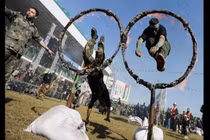 Đột nhập trại huấn luyện của tổ chức Hamas