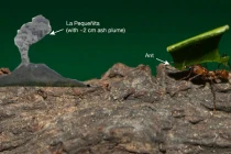 Phát hiện núi lửa to... bằng con kiến