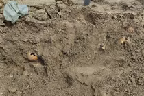 Phát hiện hố chôn 675 đứa trẻ bị rút cạn máu trong Thế chiến