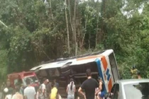 Brazil: Tai nạn xe buýt, hơn 50 người thương vong