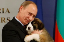 Tan chảy loạt khoảnh khắc Tổng thống Putin cưng nựng động vật