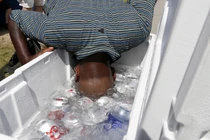 Thế giới vật vã tìm cách tránh nắng mùa hè