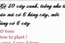5 câu đố hại não thử tài thông minh của bạn 