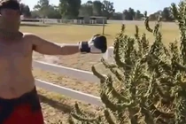 Rảnh rỗi nhảy vào bụi xương rồng tìm cảm giác lạ